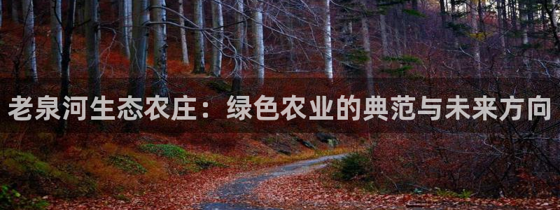 大庆天辰娱乐