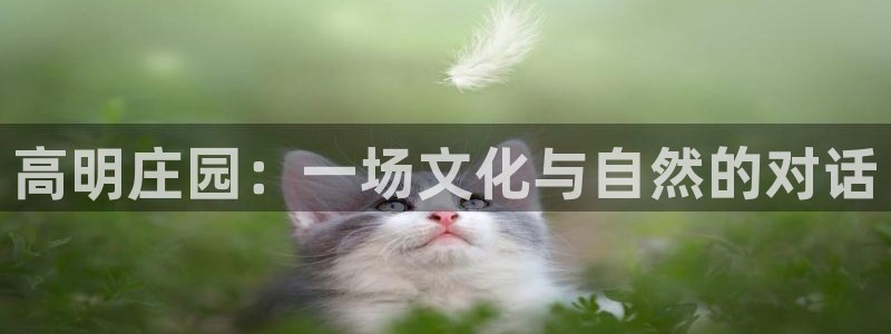 天辰娱乐平台app下载