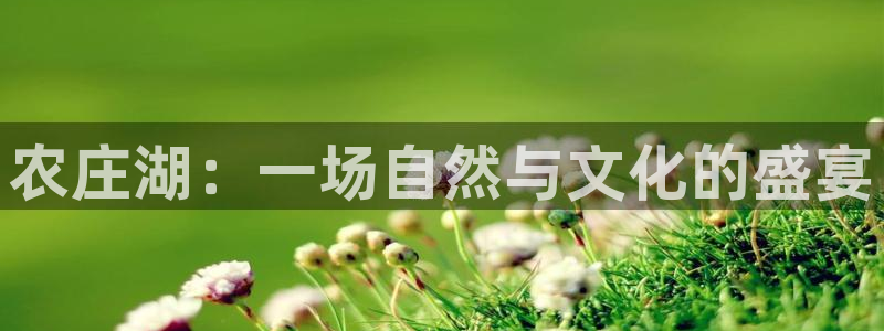 天辰娱乐平台app下载