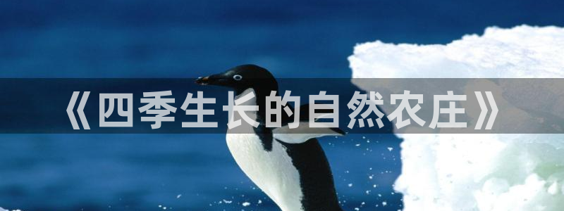 天辰娱乐675138