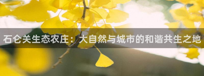 天辰娱乐1980