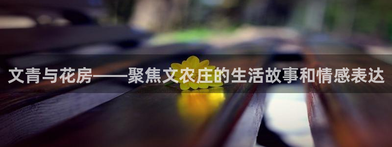 天辰娱乐首选