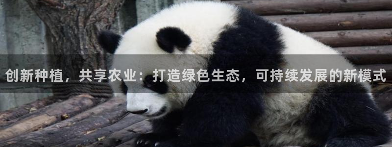 天辰娱乐官方登录入口