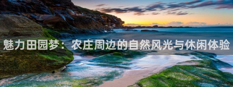 天辰娱乐 qq