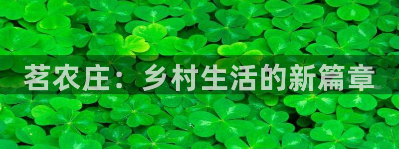 天辰娱乐2