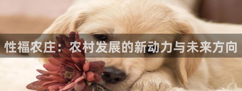 天辰线上娱乐