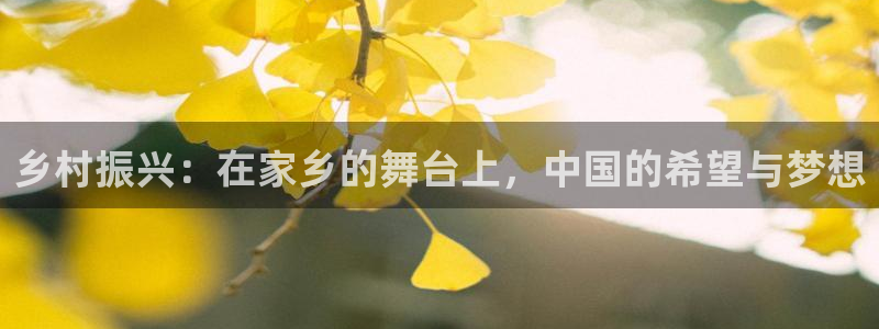 天辰娱乐登录网址