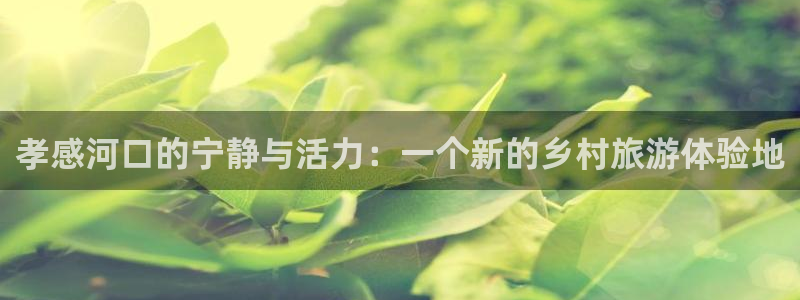 天辰娱乐_ 18113