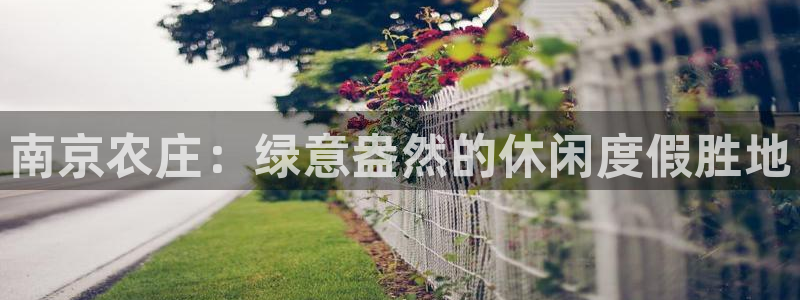 南充天辰娱乐