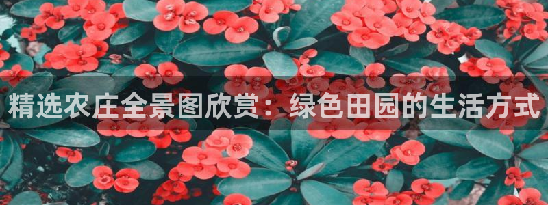南京天辰娱乐