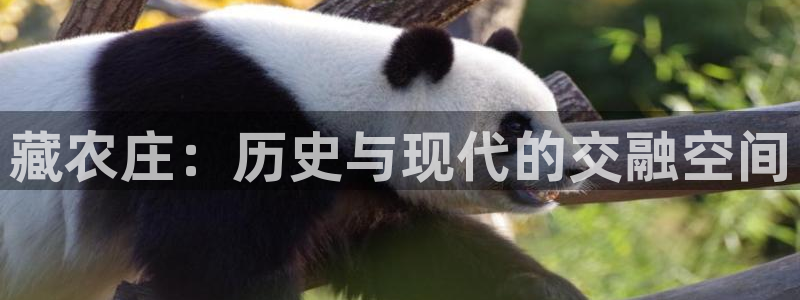 天辰登陆娱乐