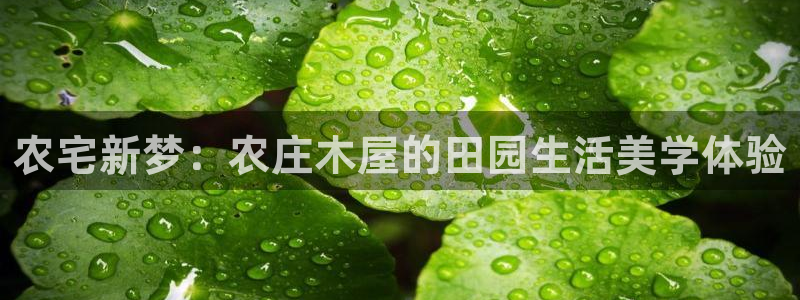 天辰娱乐台湾