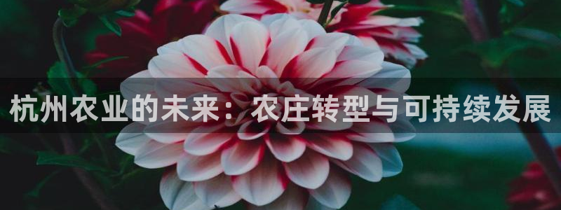 天辰娱乐平台入口
