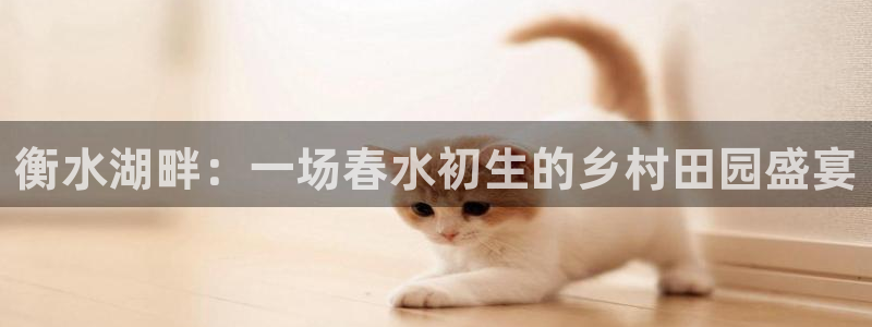 天辰在线娱乐