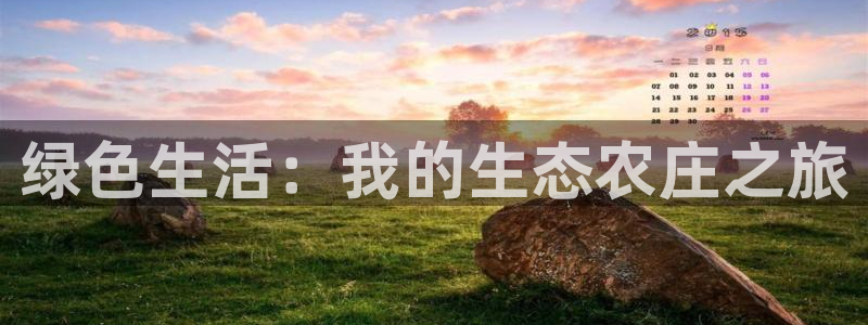天辰娱乐网