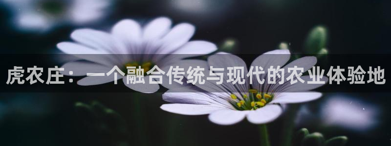 天辰娱乐注册登录