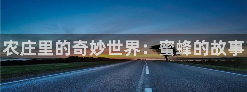 天辰娱乐怎么样