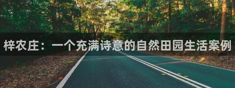 天辰娱乐分红