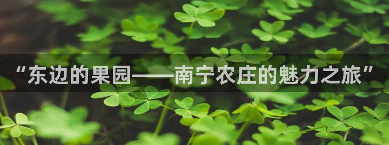 娱乐ktv天辰