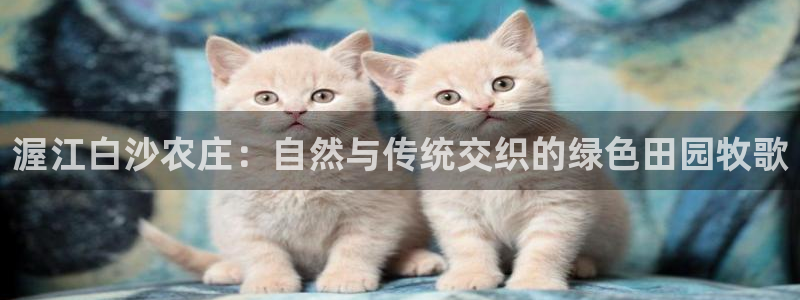 天辰娱乐557696