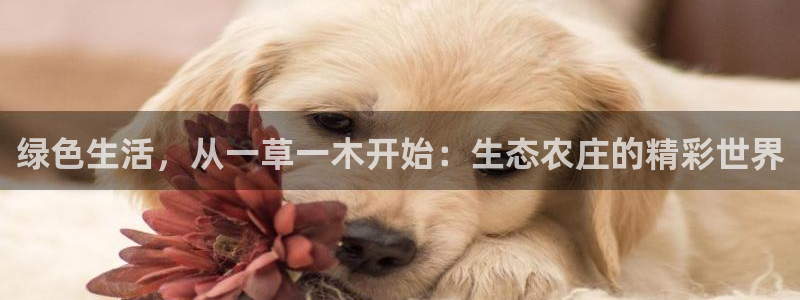 天辰国际娱乐