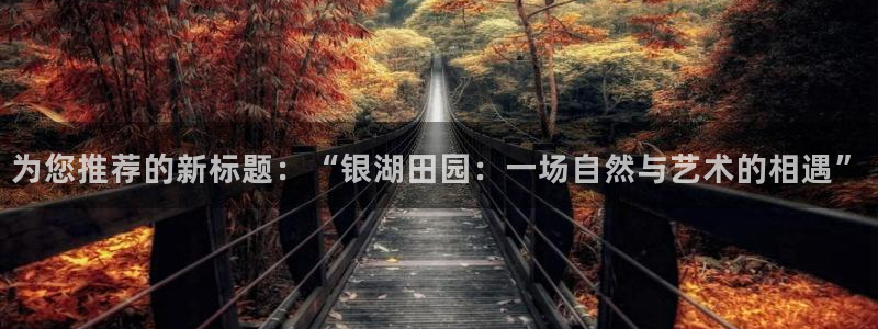 天辰娱乐51137
