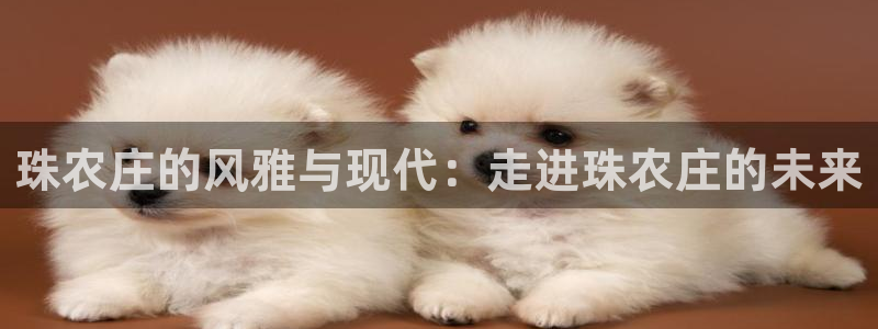 天辰娱乐解封