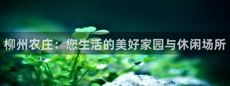 天辰娱乐官