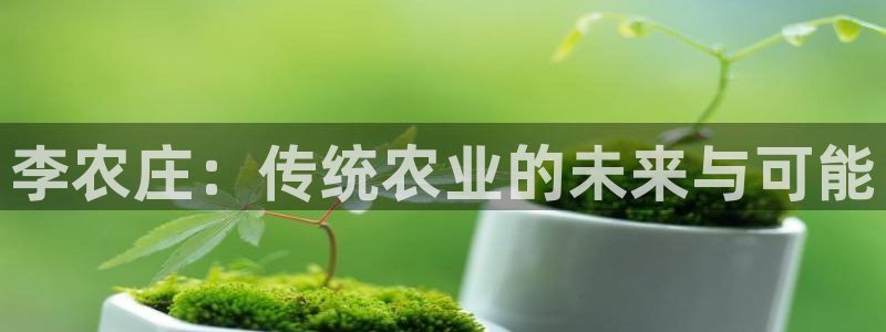 天辰娱乐官