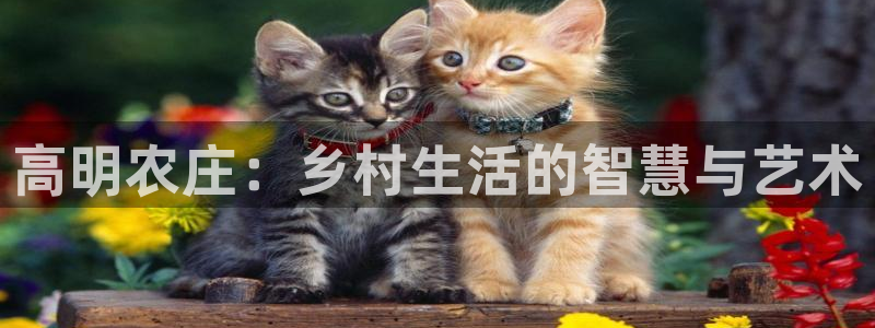 天辰娱乐平台测速