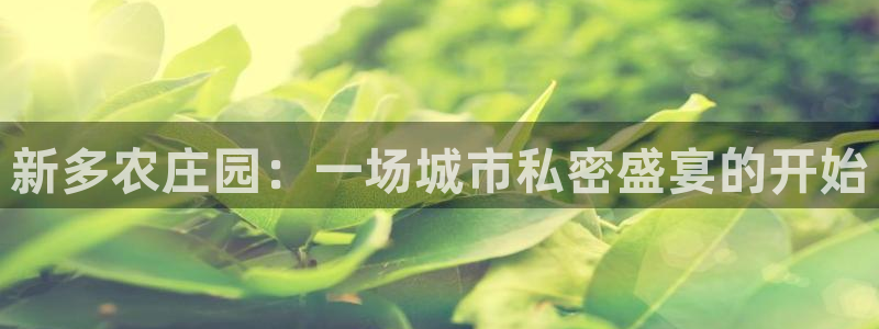 天辰娱乐老板