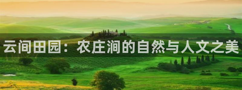 天富娱乐与天辰娱乐