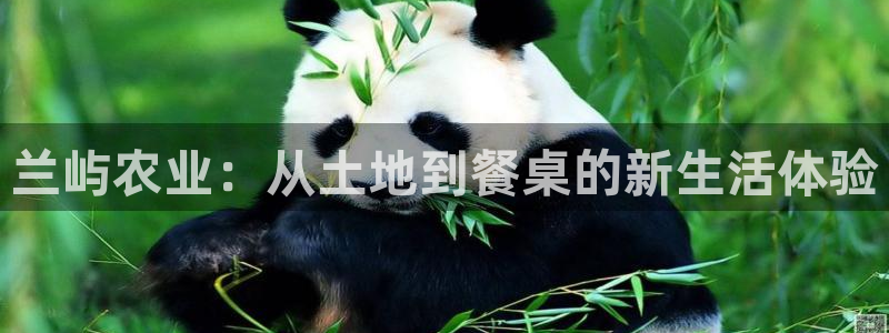 天辰 娱乐