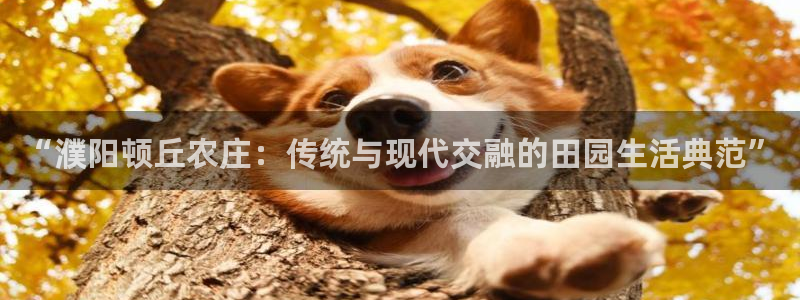 娱乐ktv天辰