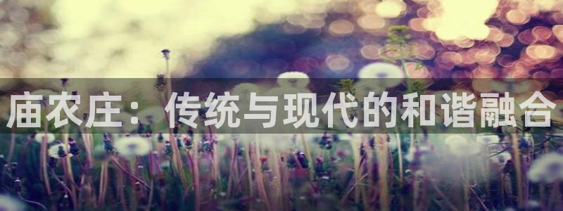 天辰娱乐登录测试