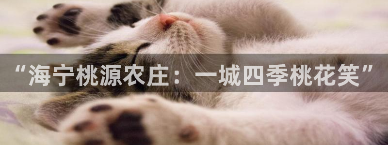 天辰娱乐平台靠谱么