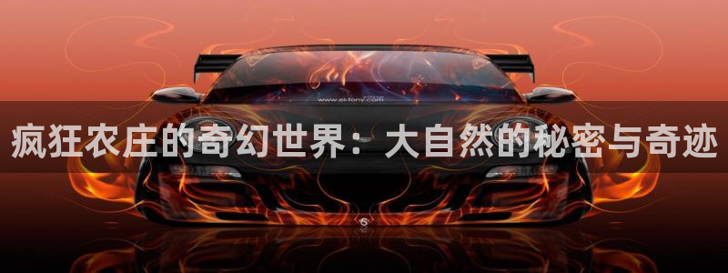 天辰娱乐APP下载