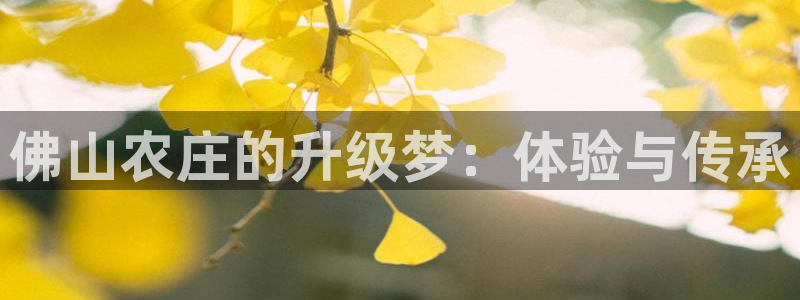 天辰娱乐平台娱乐注册