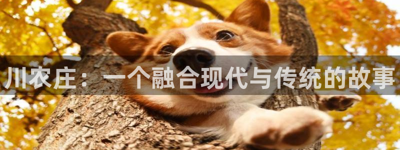 天辰娱乐游戏平台怎么样