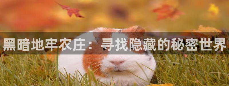 天辰娱乐平台娱乐注册