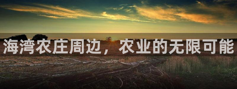 天辰娱乐官网平台下载