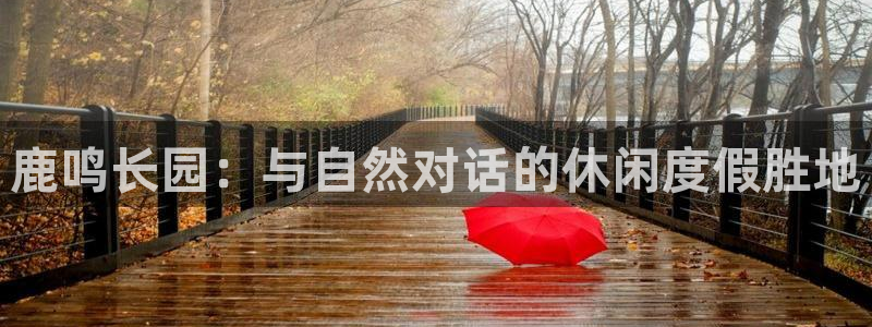 手机上怎么下载天辰娱乐